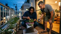 ジップ付き保存袋でいちご栽培に挑戦、ベランダで3か月後に実をつけるコツ